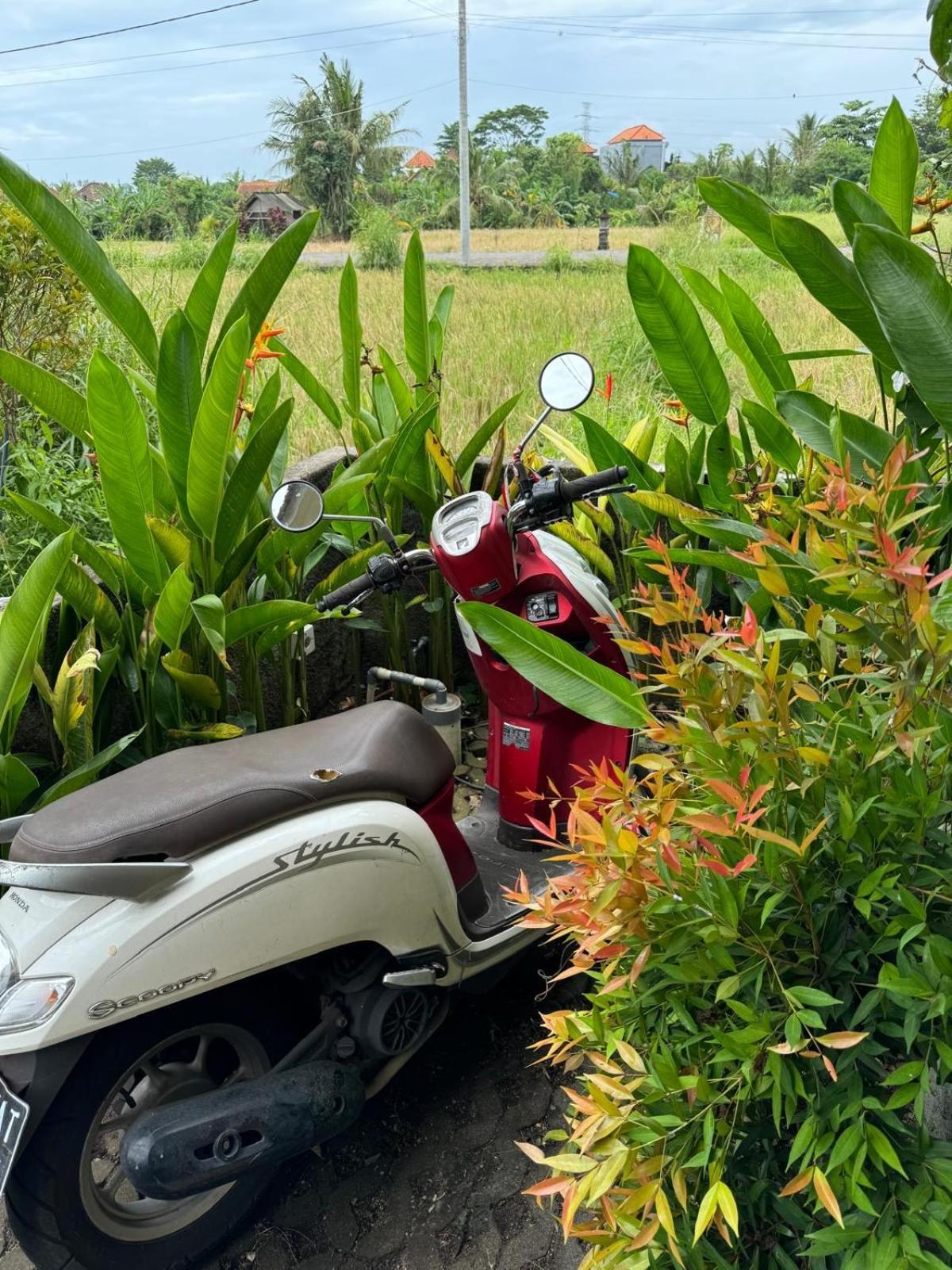Mandala Rengganis Ubud View Private Villa By Eps 外观 照片