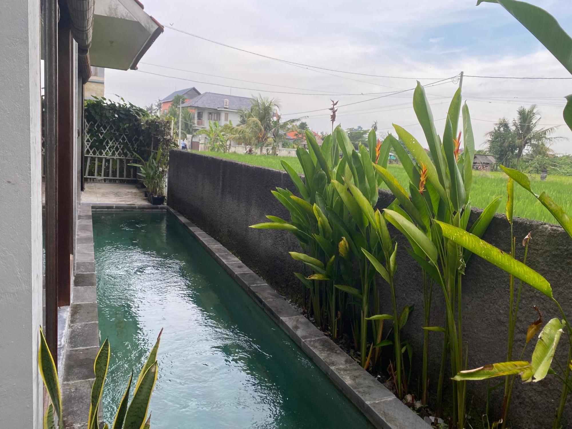 Mandala Rengganis Ubud View Private Villa By Eps 外观 照片