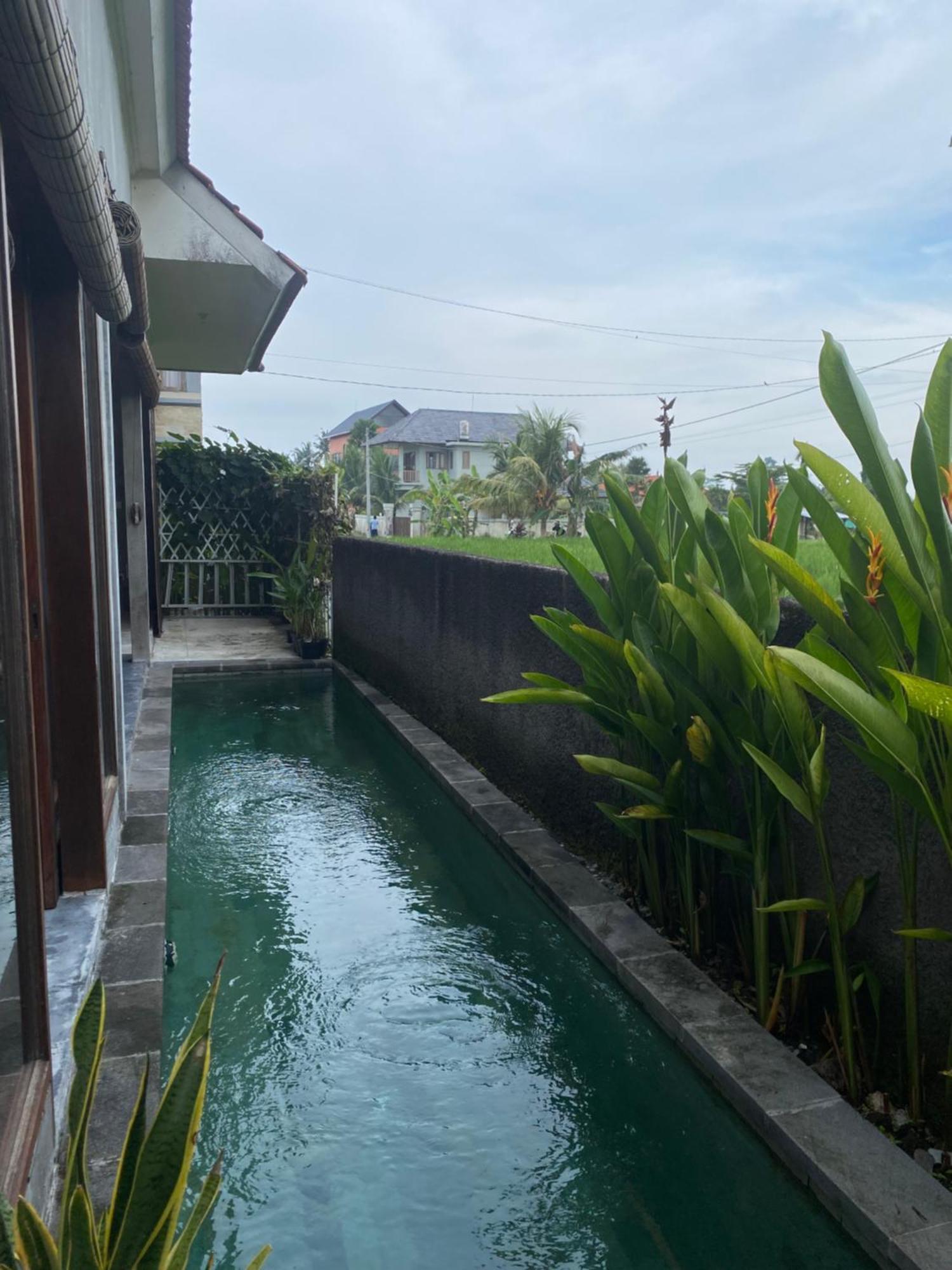 Mandala Rengganis Ubud View Private Villa By Eps 外观 照片